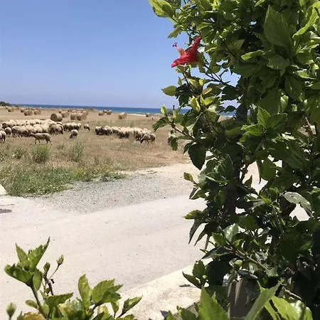 Beach *